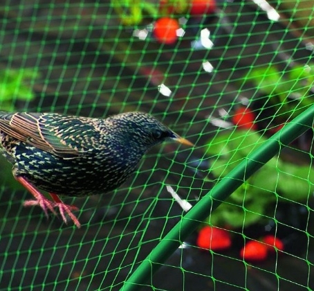 Bird Netting for Garden