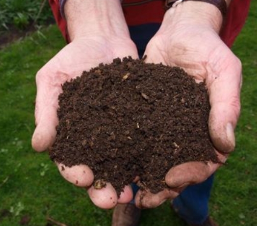 Organics Compost