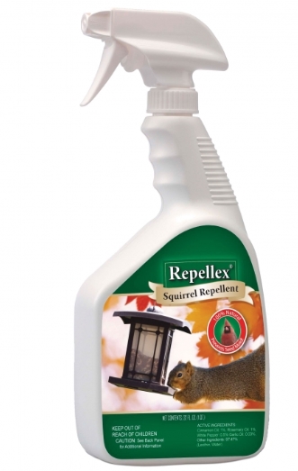 Squirrel Repellent