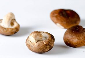 Shiitake Mushroom