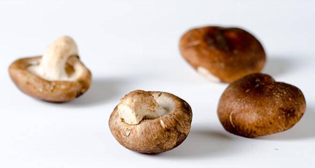 Shiitake Mushroom