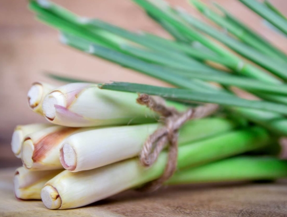 Break Off the Stalks of Lemongrass