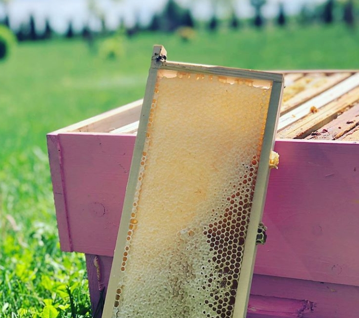 Remove honeybees from the hive