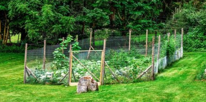 fence barriers for deer