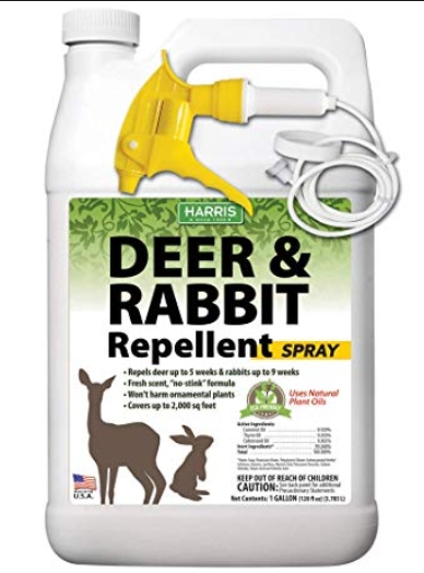 natural repellent for deer