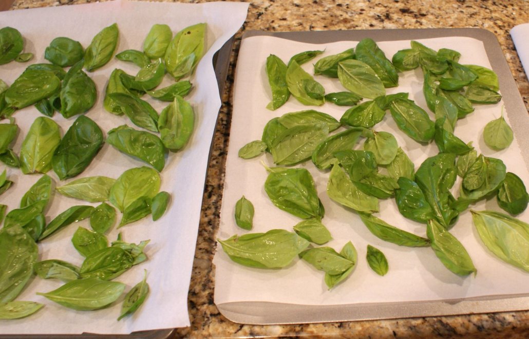 dry basil by using tissues