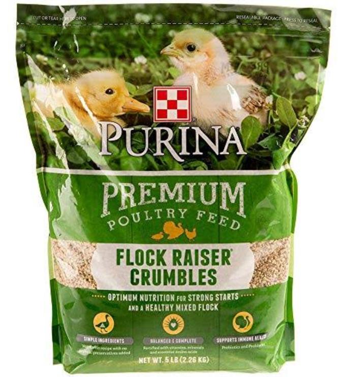 What do Baby Ducks Eat? Here Are the Answers - Hairston Creek Farm