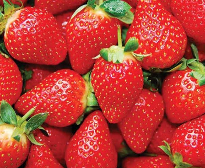 Benefits of Strawberries for Rabbits