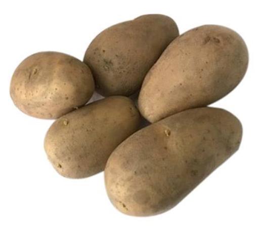 Diamant Potato