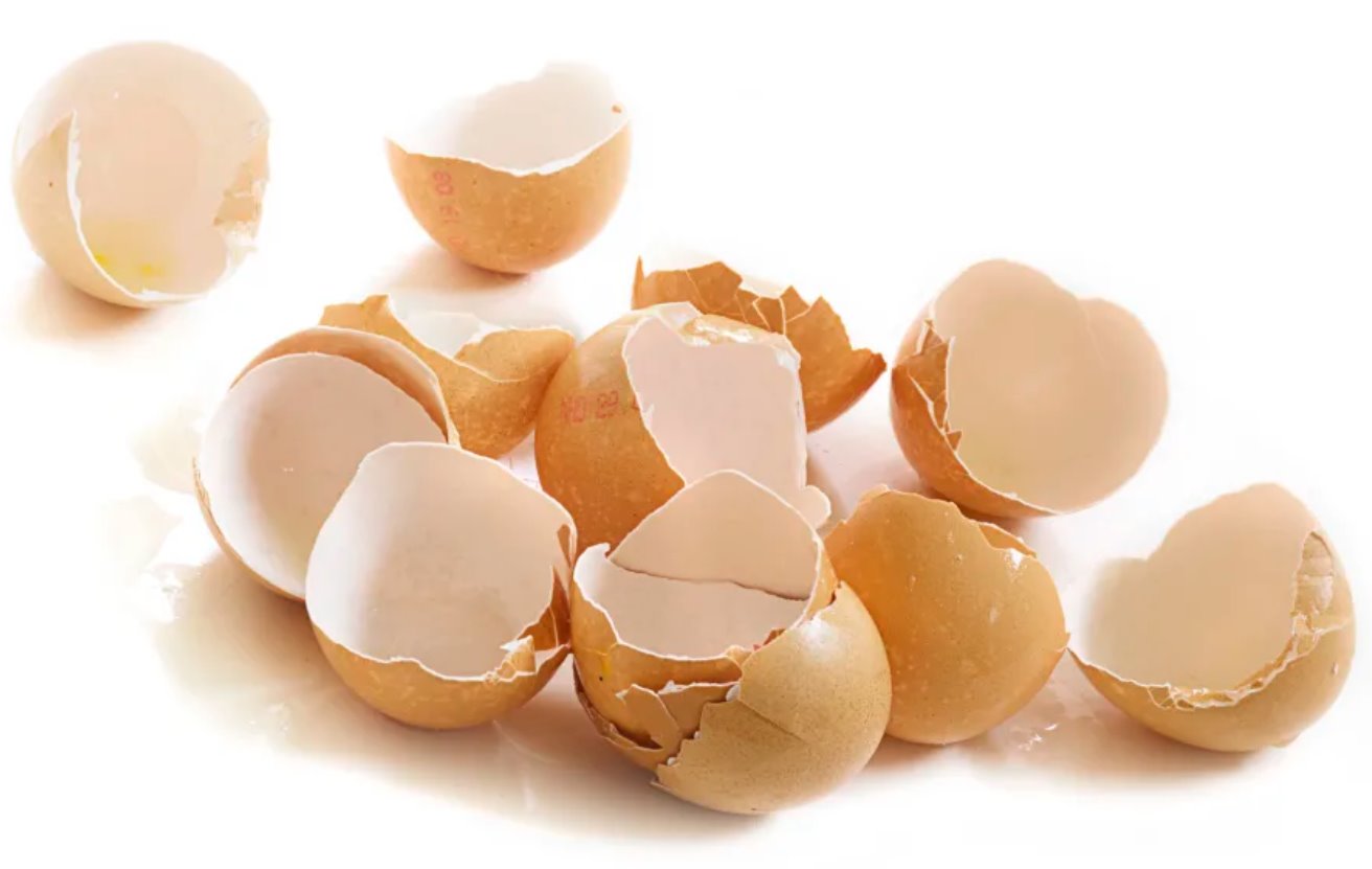 Eggshells