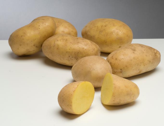 Maritiema Potato