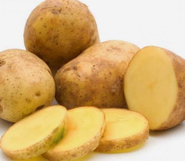 Thung 151 C Potato