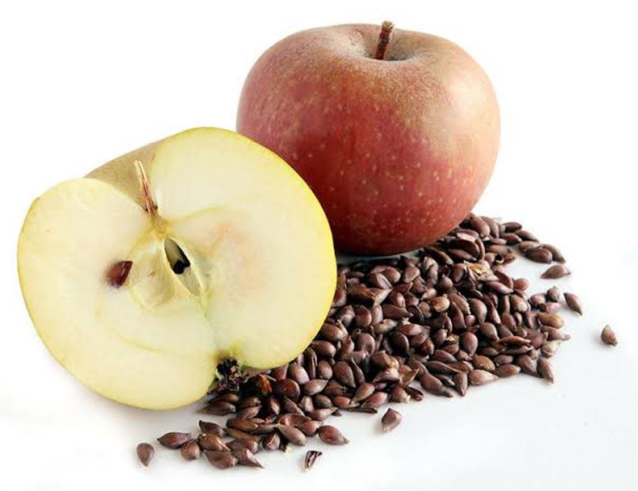 Can Rabbits Eat Apples? And The Things You Should Know