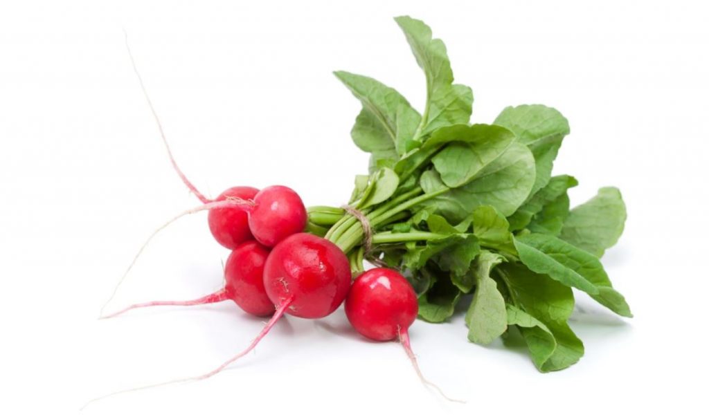 Can Rabbits Eat Radishes and Their Leaves? Hairston Creek Farm