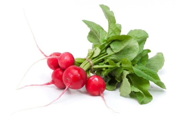Can Rabbits Eat Radishes