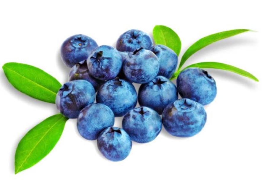 Fresh Blueberries