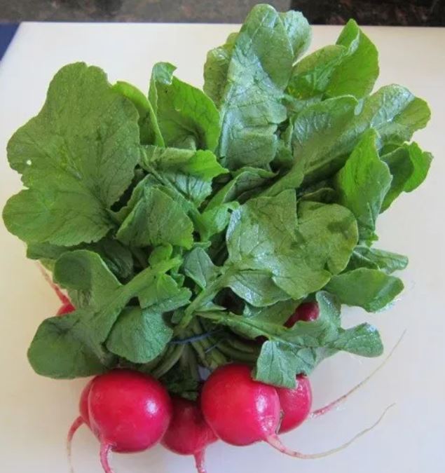 Radishes Leaves