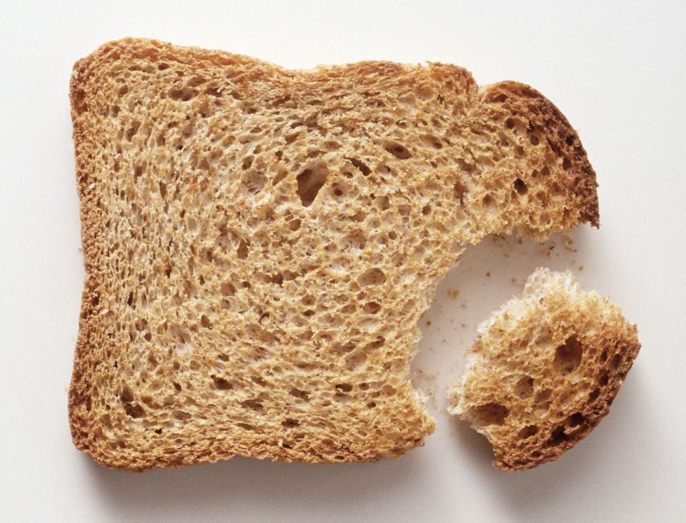Can Rabbits Eat Bread? And Facts You Should Know!