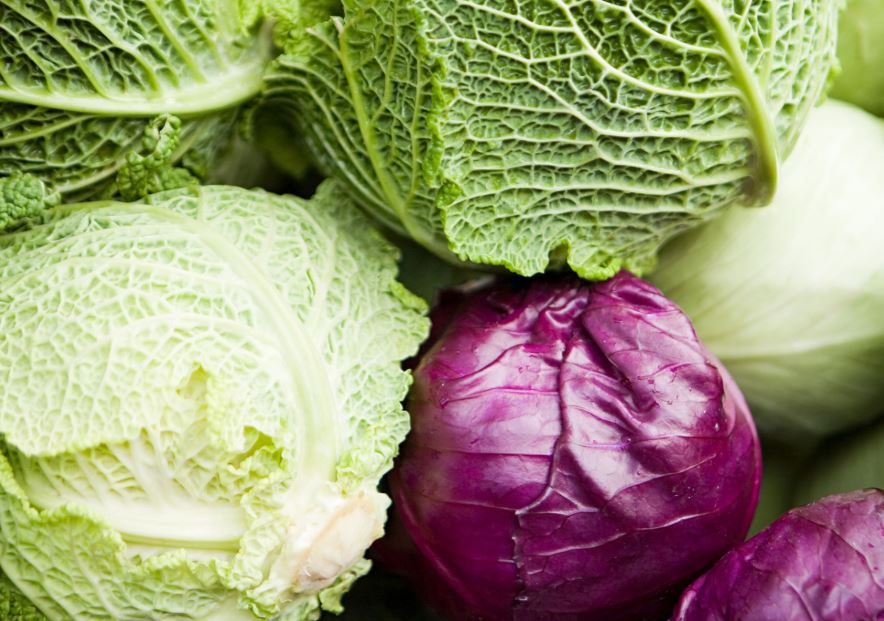 The Varieties of Cabbages